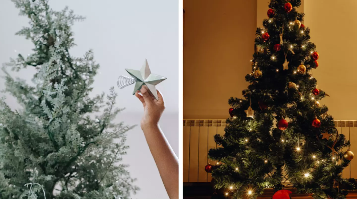 People horrified after mum reveals she takes her tree down on Christmas Day