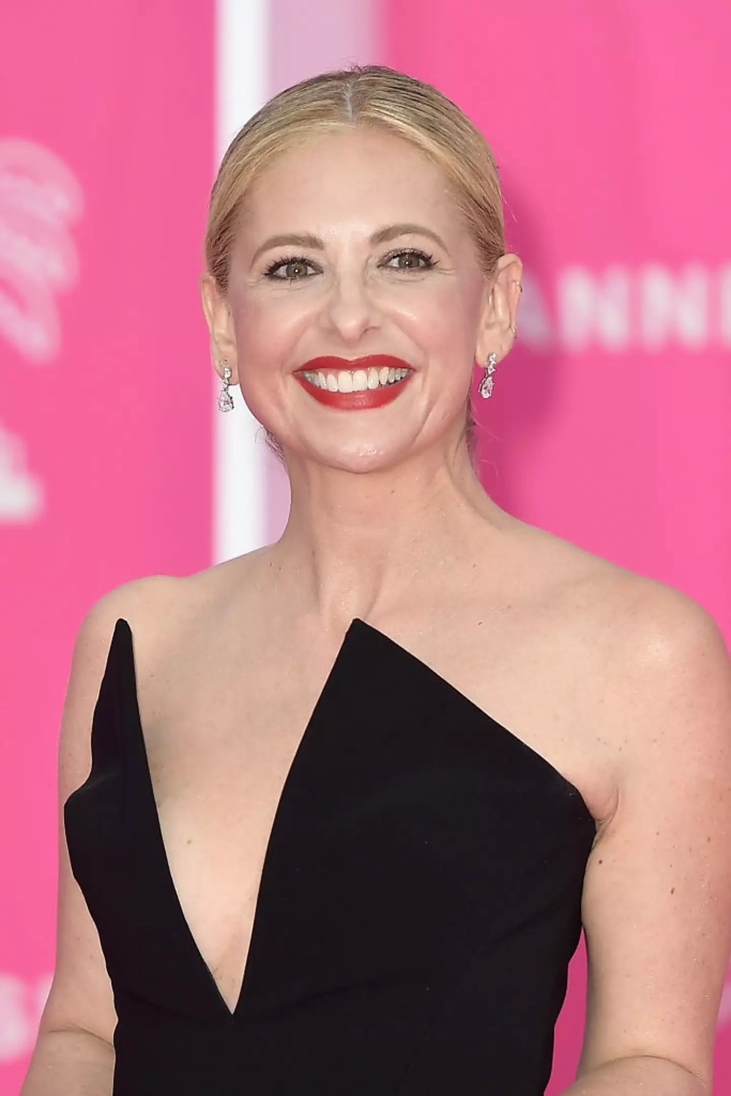 Gellar's recent remarks have sparked a heated discussion online (Dominique Charriau / Contributor / Getty Images)