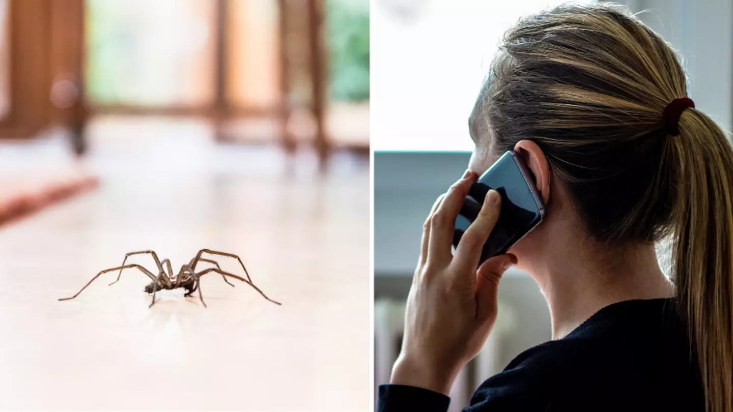 Woman Calls 999 And Demands Police Remove Spider From Her House