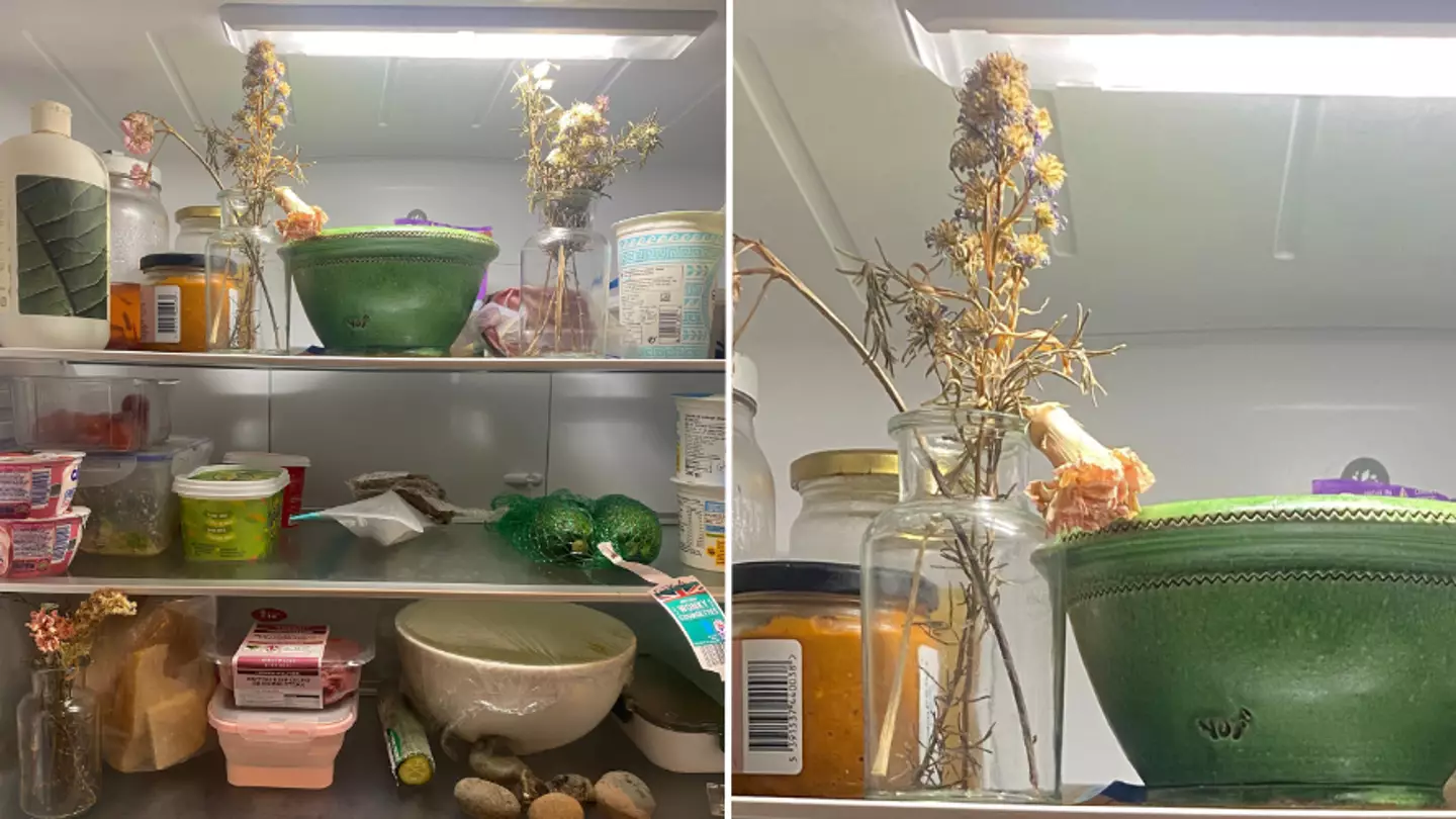 Fridgescaping is the latest Gen Z trend but there’s a serious warning against it