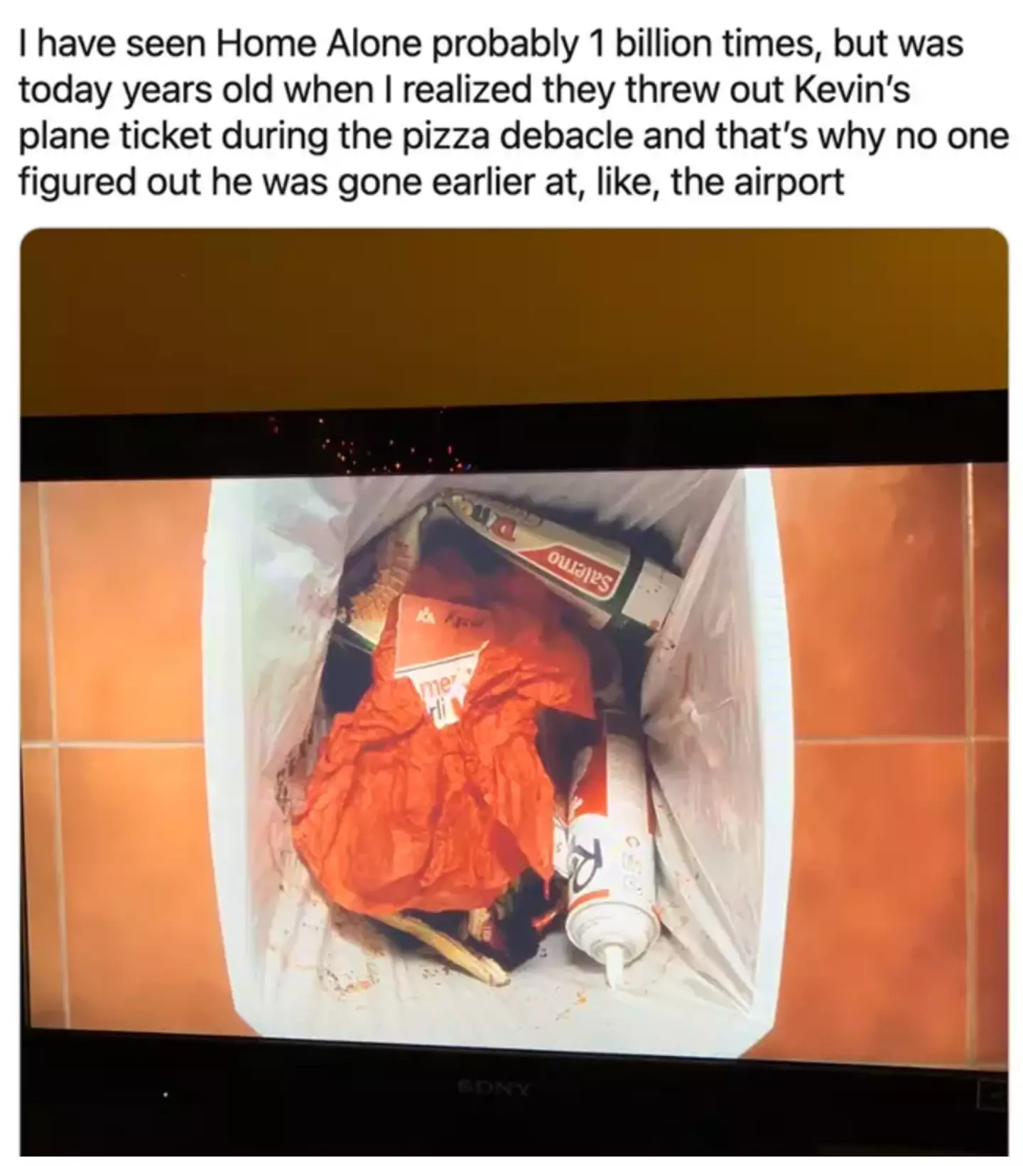 Despite watching Home Alone 'one billion times', one user was 'today years old' when they clocked Kevin's plane ticket ends up in the bin.
