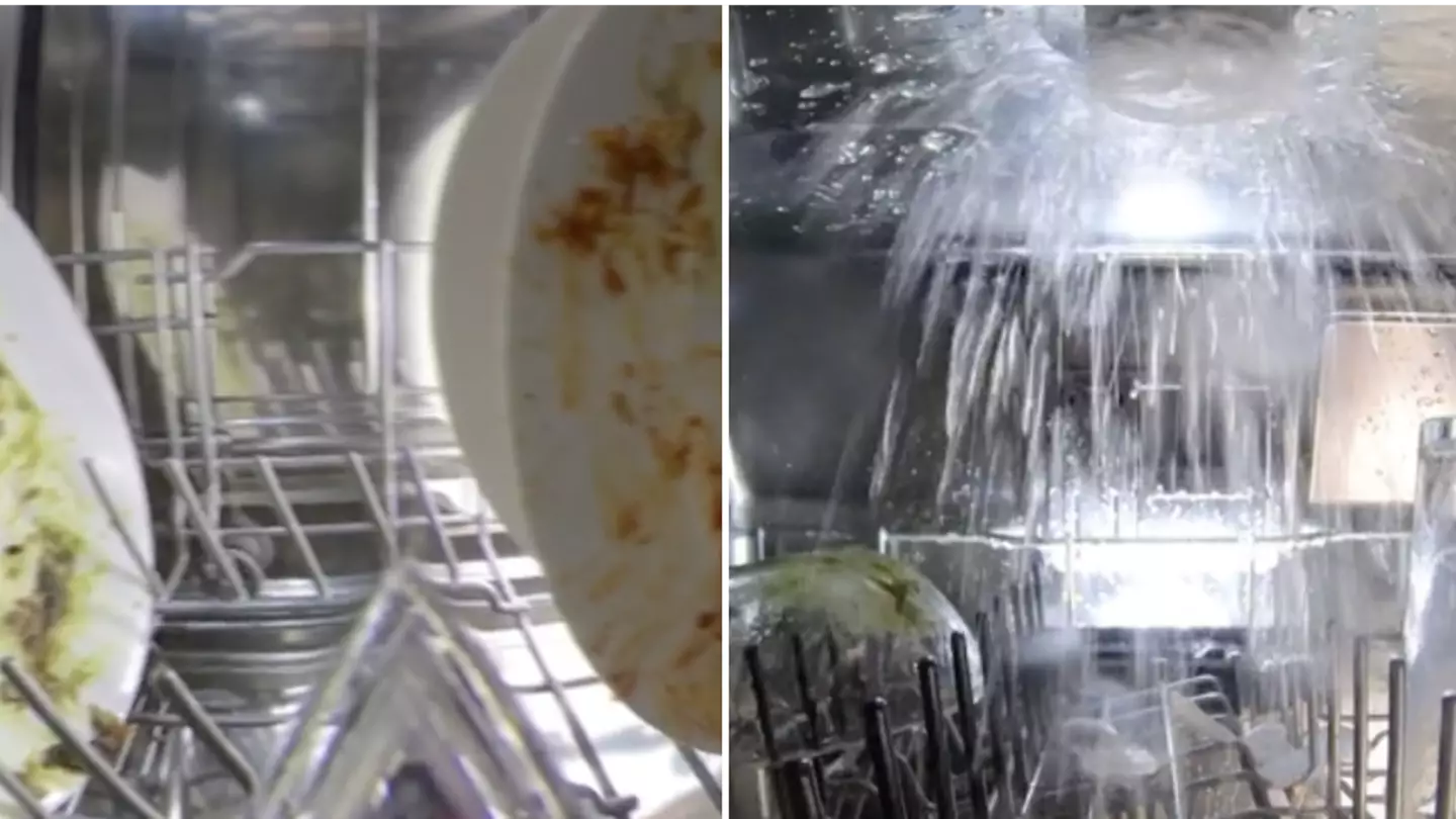 People ‘triggered’ after seeing what actually happens inside a dishwasher