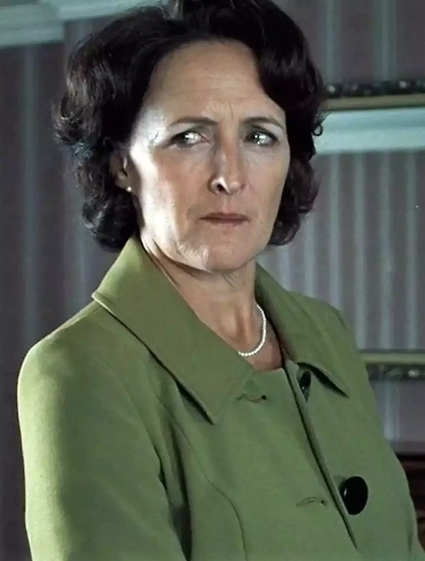 Only a small batch of eagle-eyed fans realised what Aunt Petunia. (Warner Bros.)