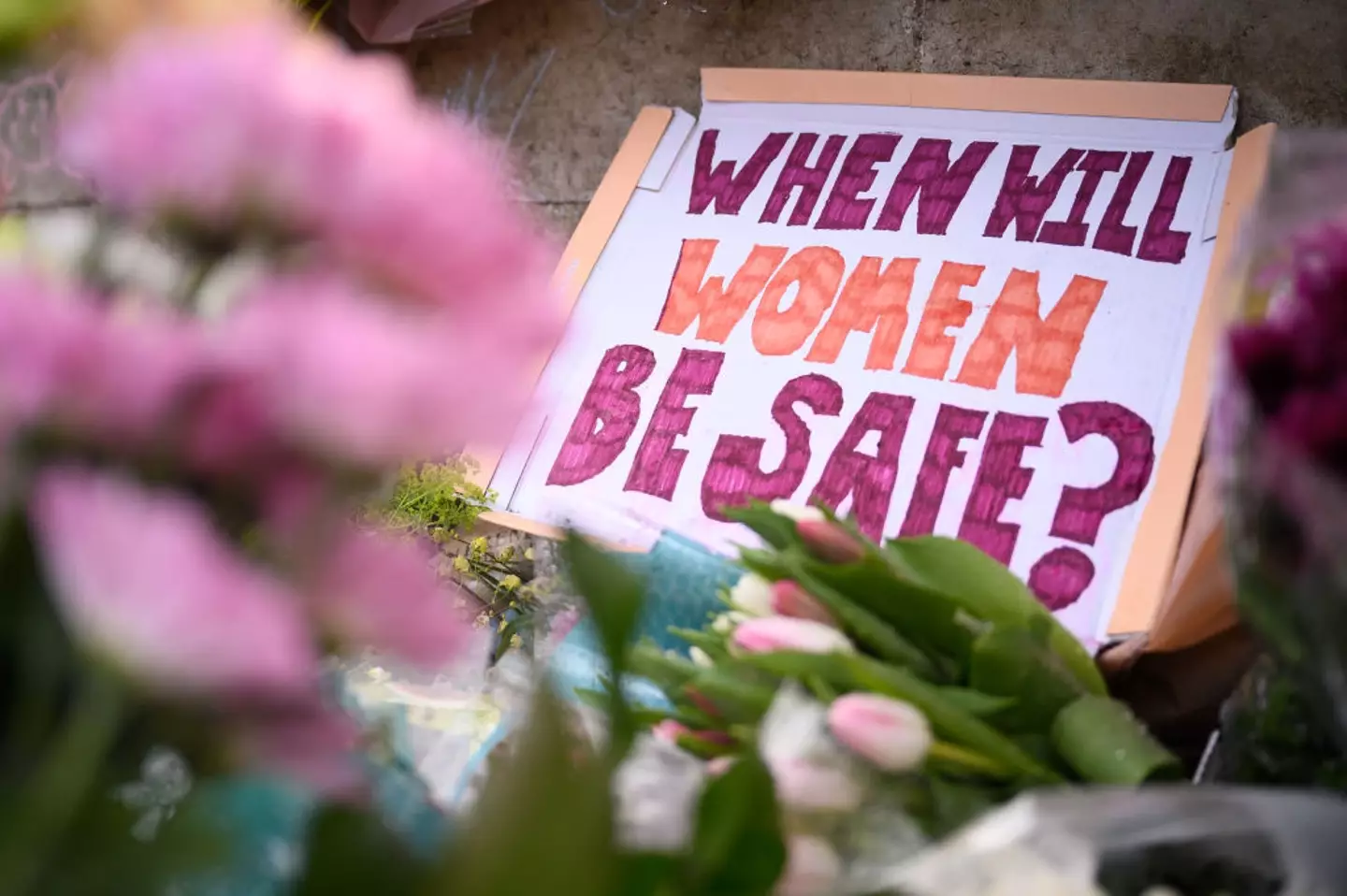 Professor Jane Monckton-Smith OBE has published an eight-stage timeline showing how coercive control can lead to murder (Leon Neal/Getty Images)