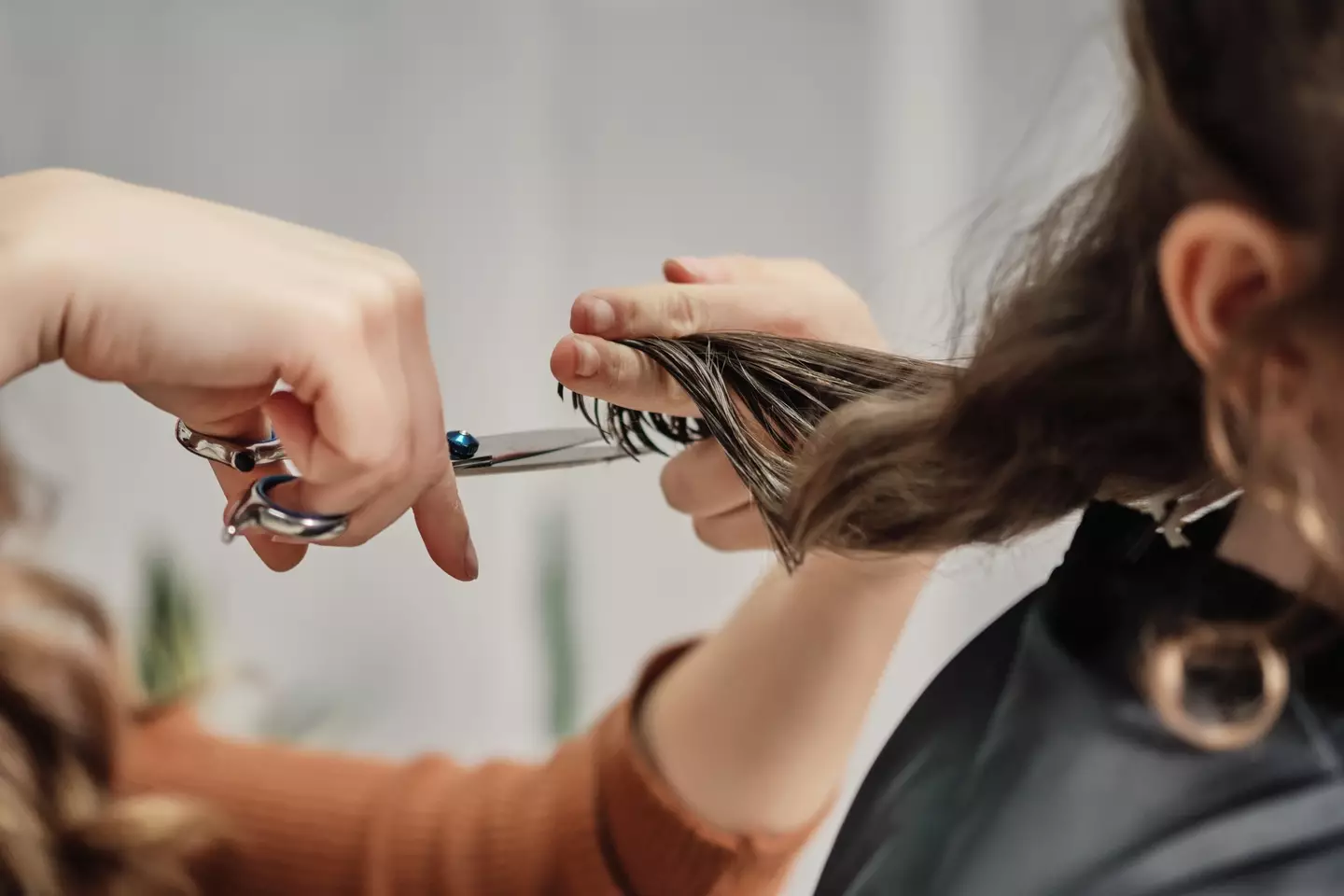 Fancy doing something new with your hair?