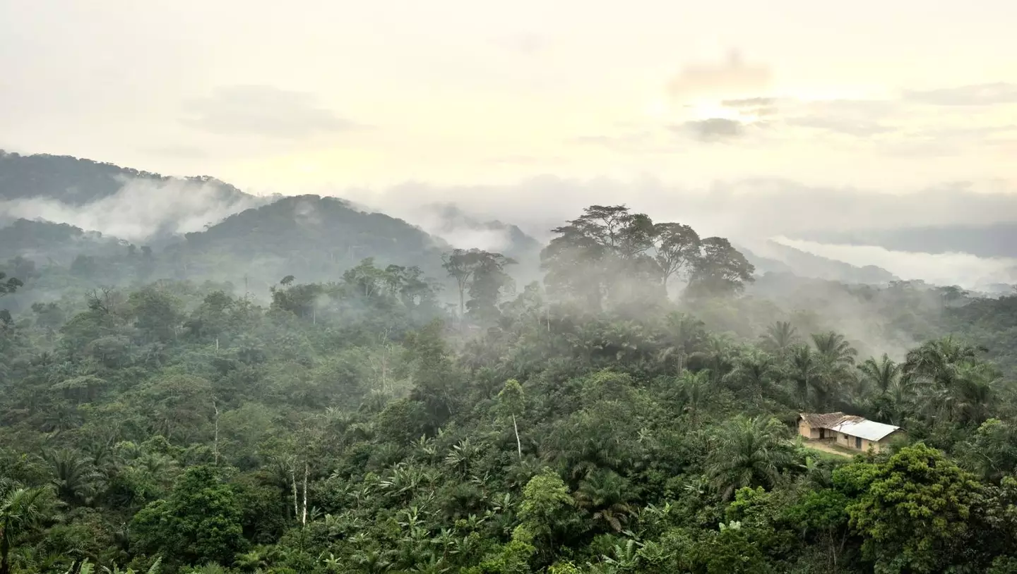 A 'complex public health crisis' is currently sweeping the Democratic Republic of Congo (Getty Stock Image)
