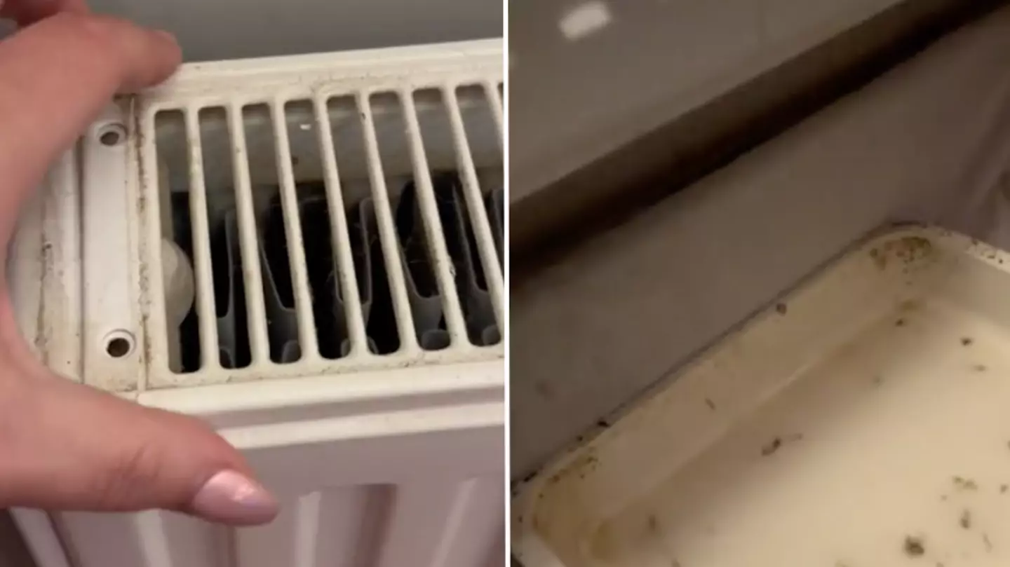 Woman shares genius radiator hack that makes her home smell like Jo Malone candle