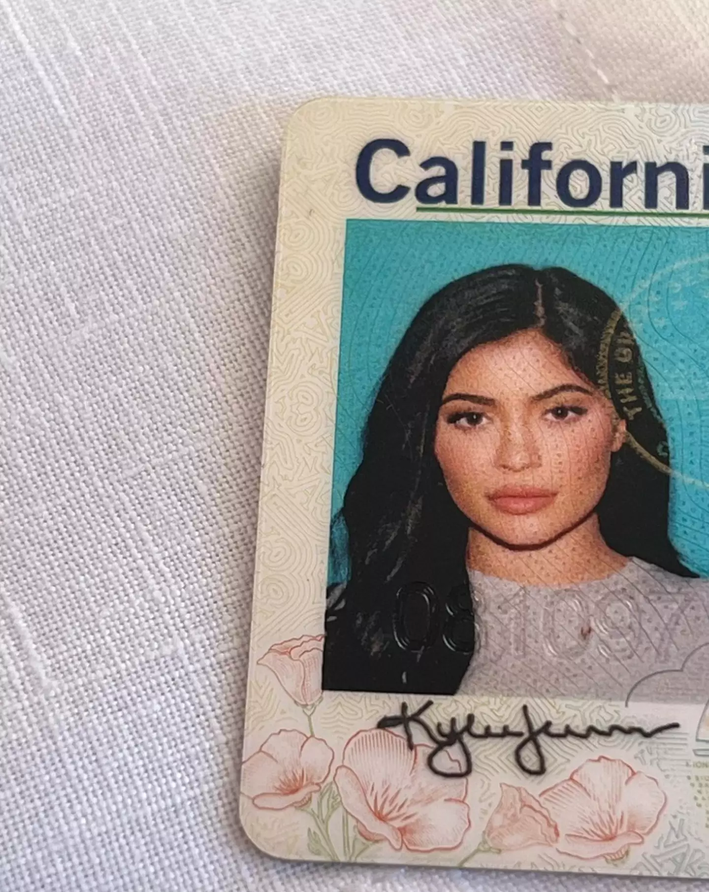 Kylie Jenner shared a picture of her driver's licence. (