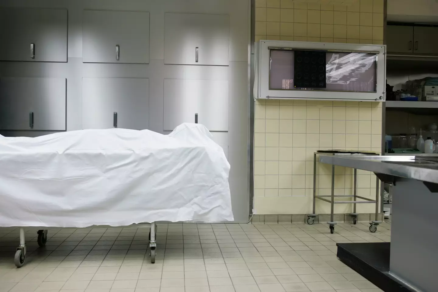 She said organs are never returned to their original location (Team Static/Getty)