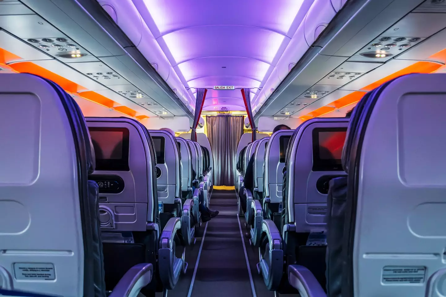 One of the passengers onboard recorded the moment the pilot explained what happened (Getty Stock Image)