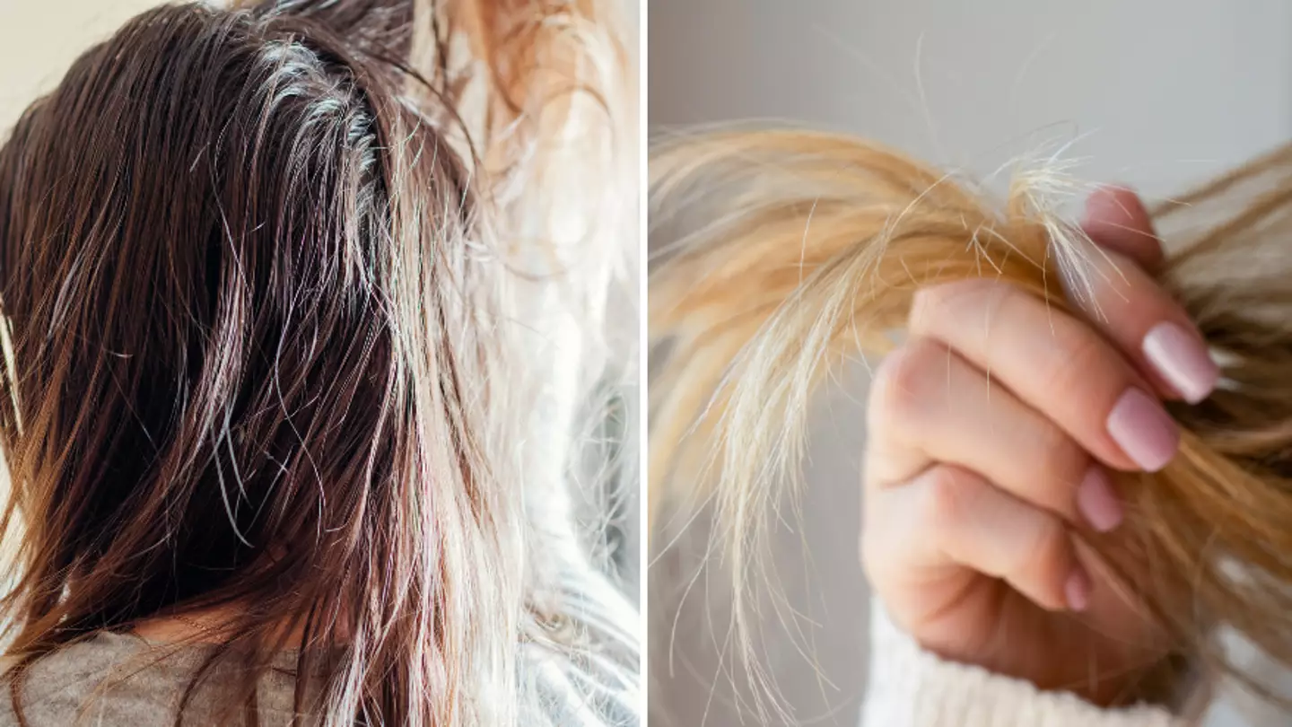Why your hair might be getting greasy so quickly and it's not always your shampoo