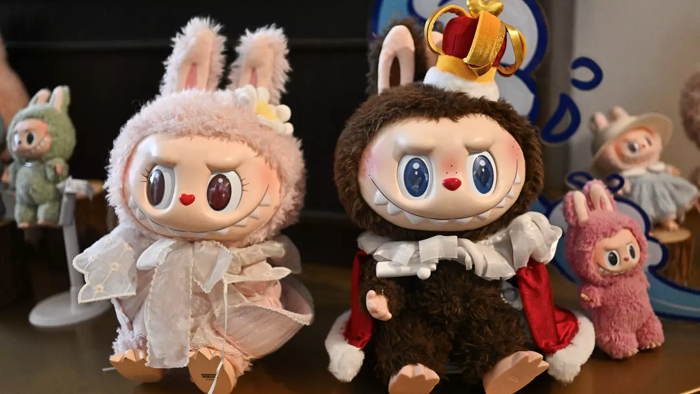 PEDRO PARDO/AFP via Getty Image