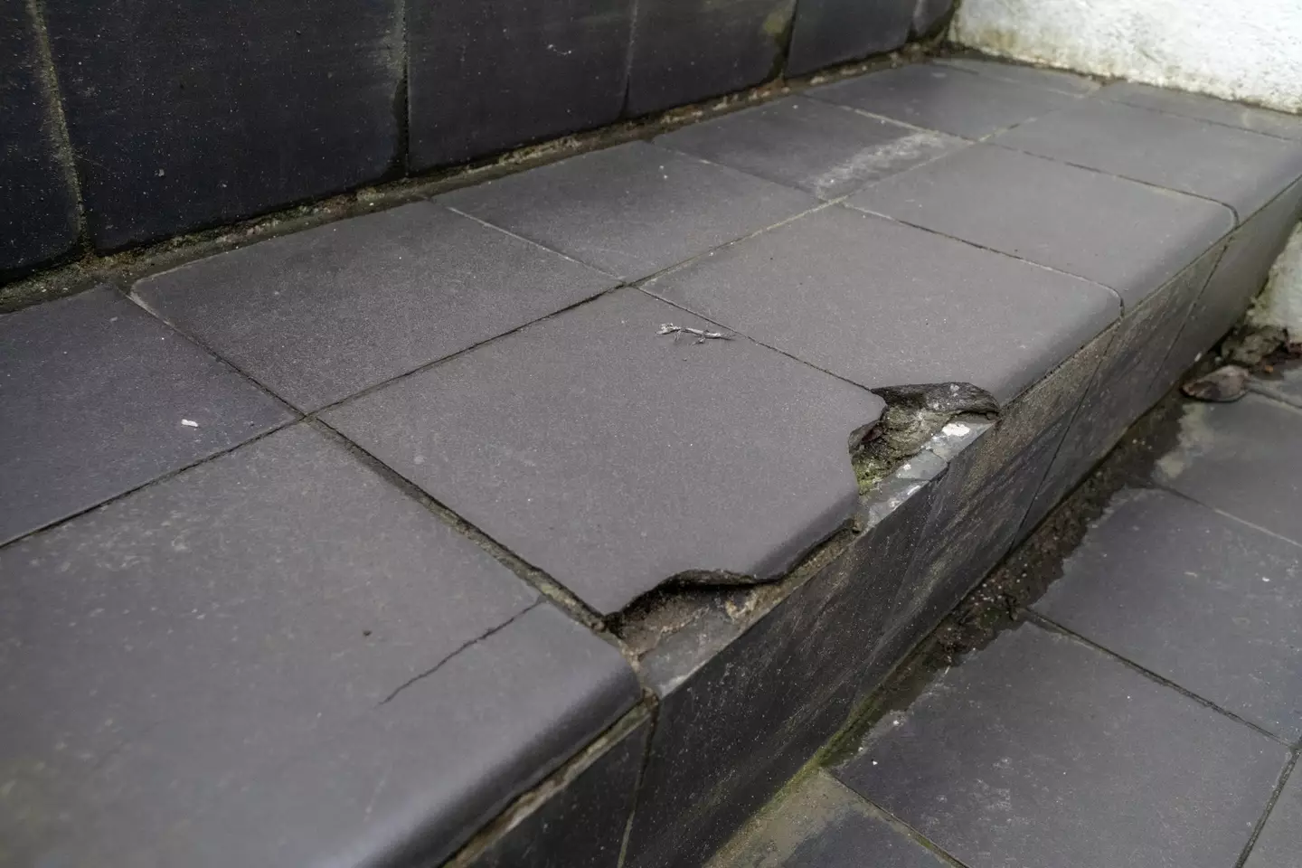 Mr Lee says the popularity of the spot is costing him in repair bills, including thousands spent to replace cracked tiles.