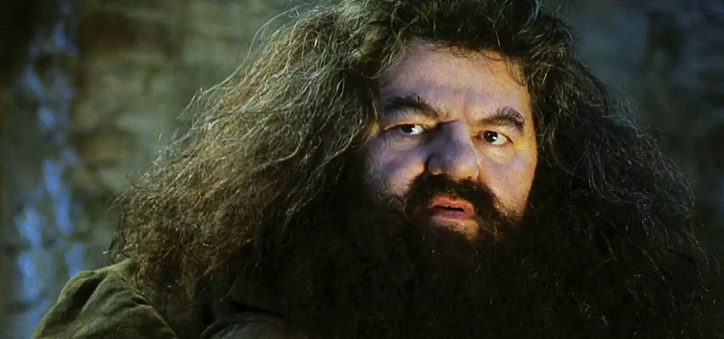 Robbie Coltrane (1950 - 2022) (Warner Bros.)