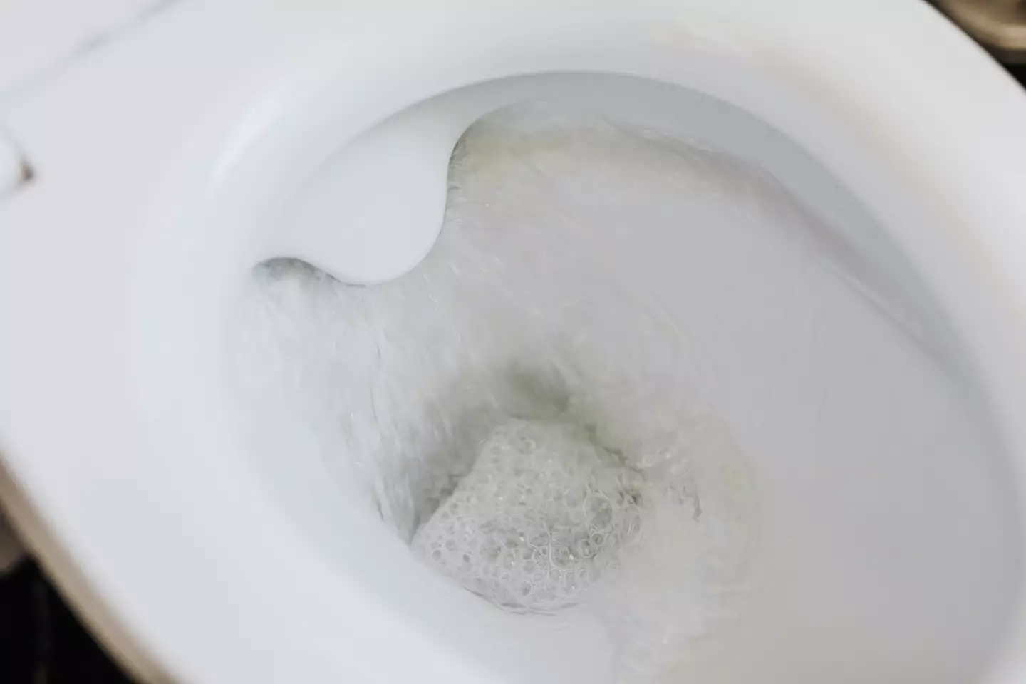 Have you ever flushed your pet's faeces down the toilet?
