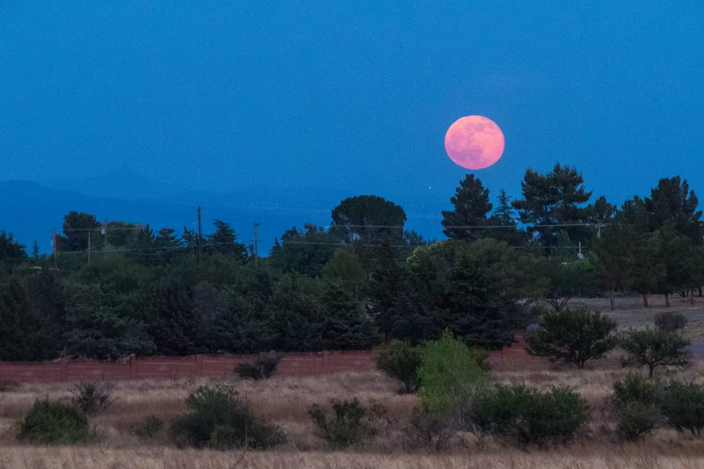 (CochiseVista/Getty)