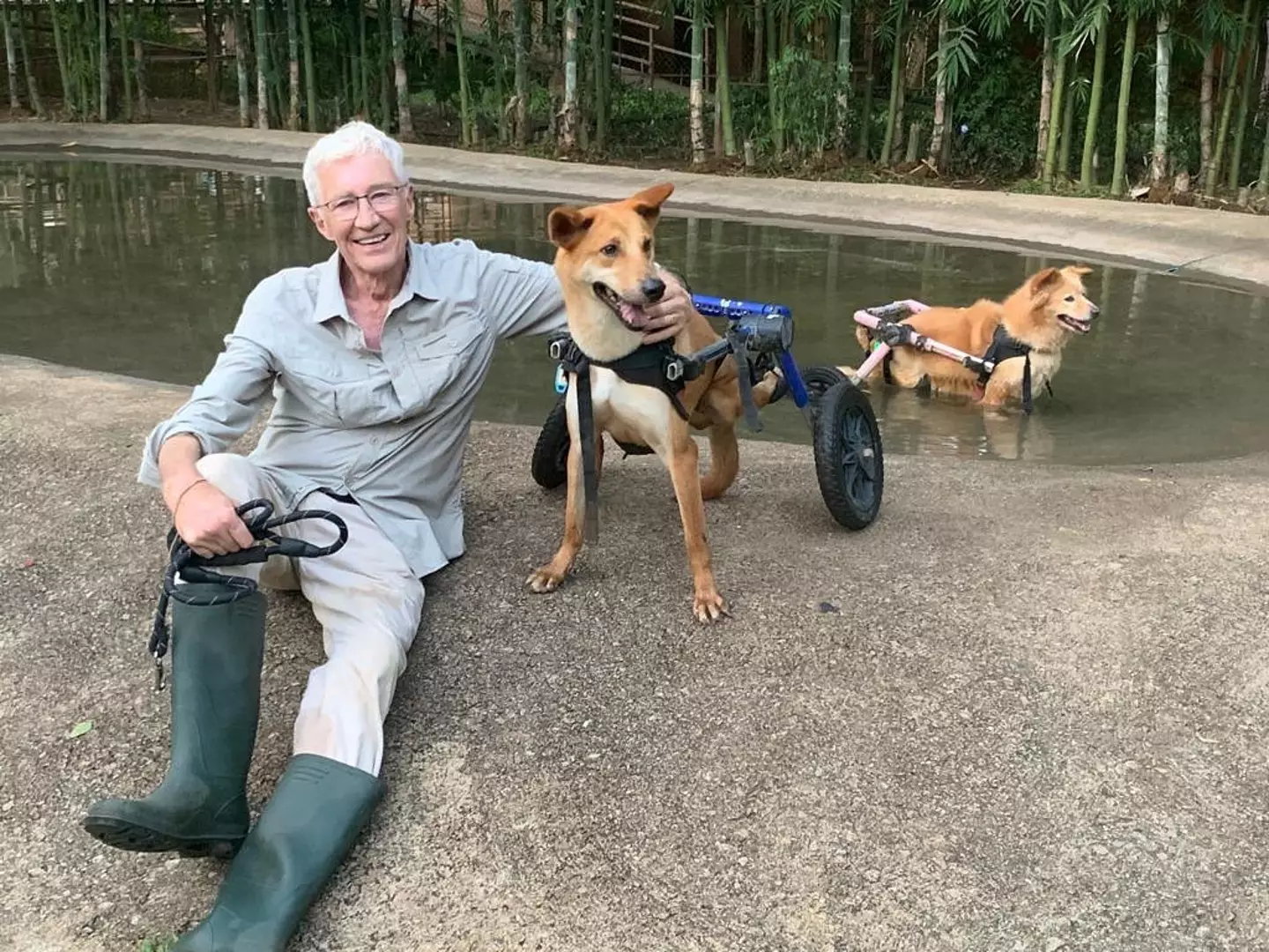 Battersea said the TV star was a 'devoted animal lover with the biggest heart'.