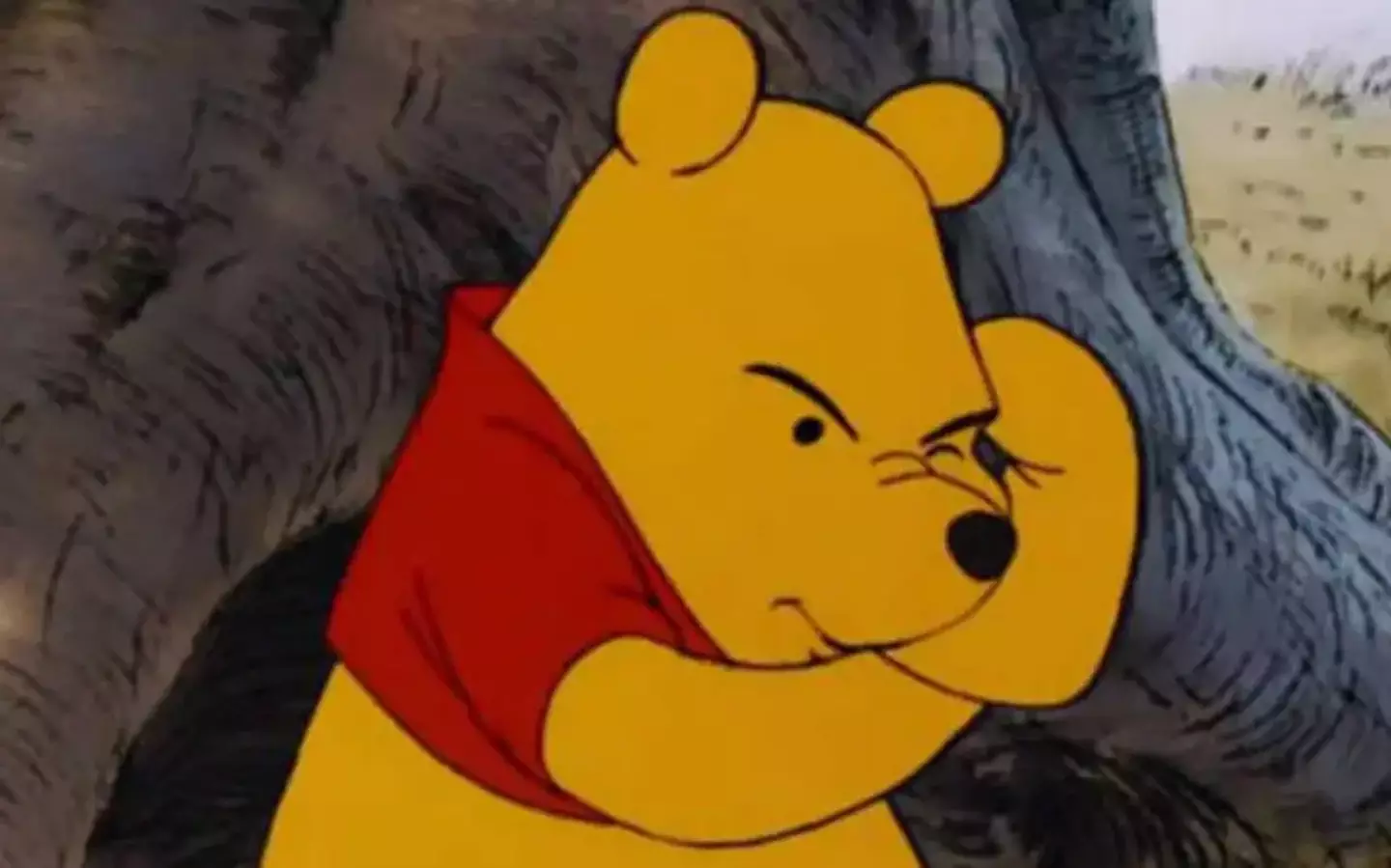 (The Walt Disney Company)