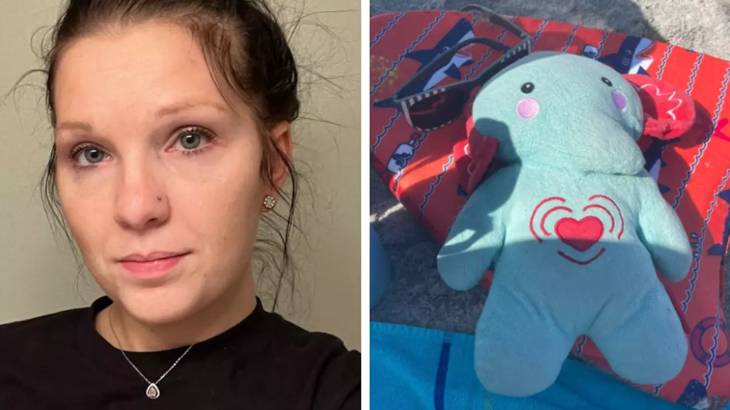 Mum desperately searching for lost stuffed elephant holding her late son's ashes