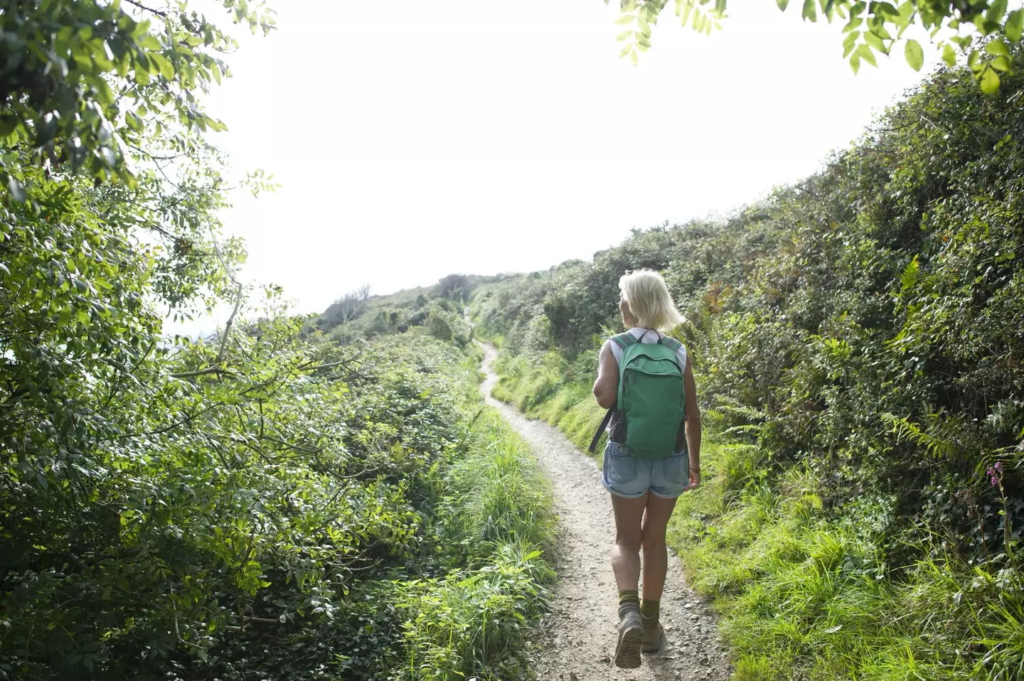 Walking could be the sign to whether you will develop dementia or not (Getty stock images)