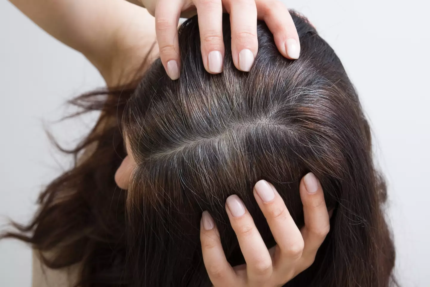 "Pulling out a grey hair is not going to make all the nearby follicles turn grey.”