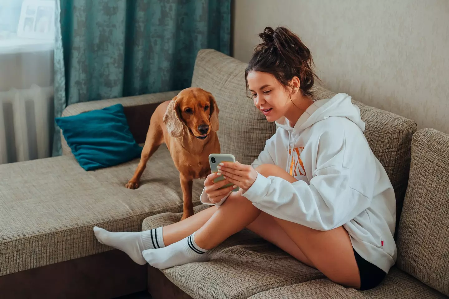 A dog owner tried a dog translation app. (