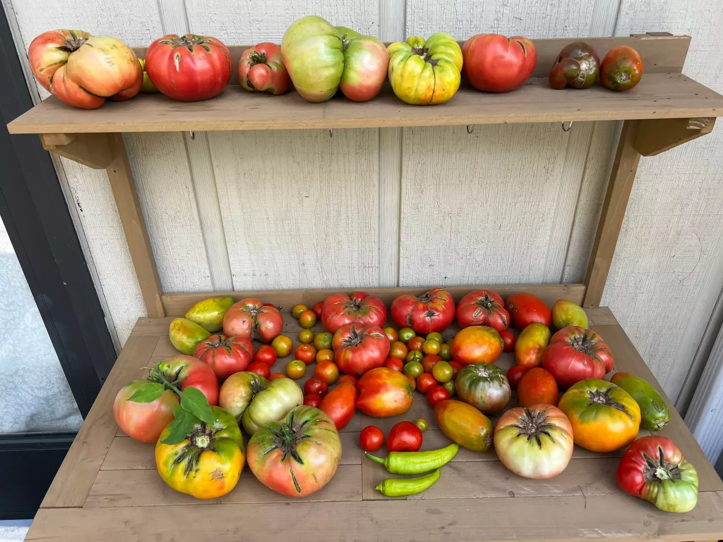 Kelsey learned how to store food online.