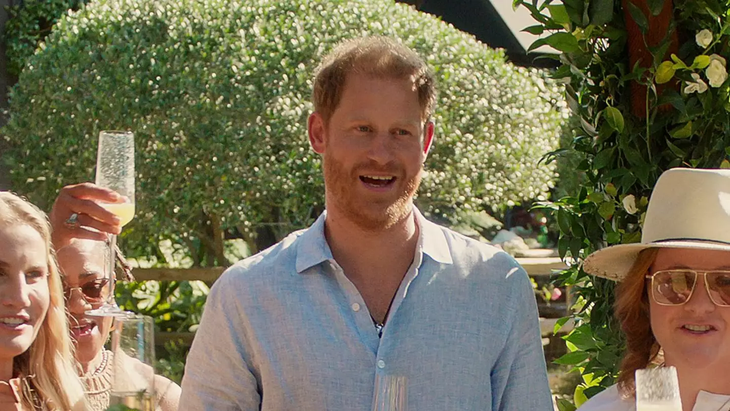 Harry features at the end of the series (Netflix)