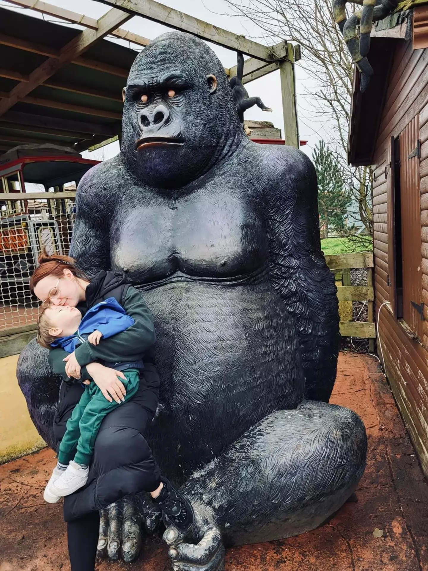 The specialist found that Harrison had contracted Lyme disease.