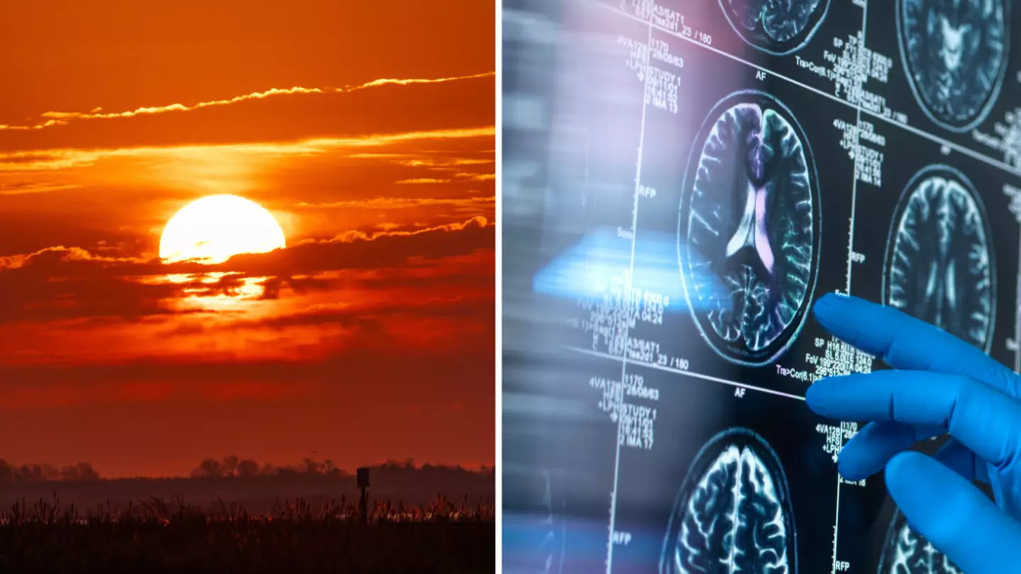‘Sundowning’ could be warning sign you have early dementia