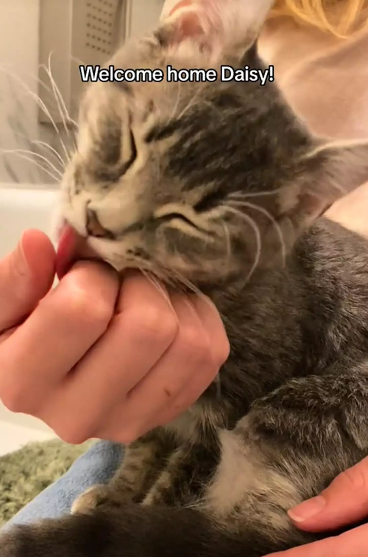 Daisy is the 'perfect addition'.