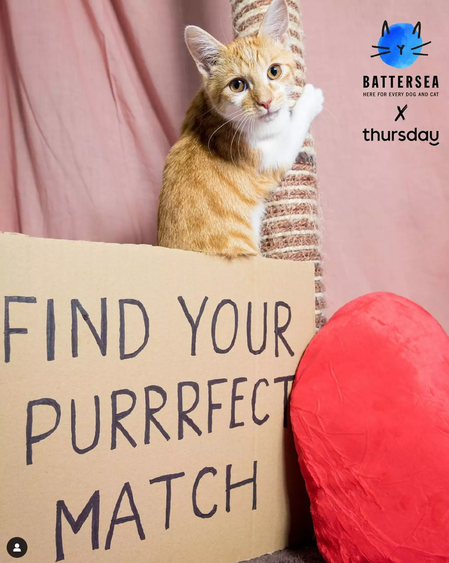 Battersea and Thursday have coupled up for a new event.