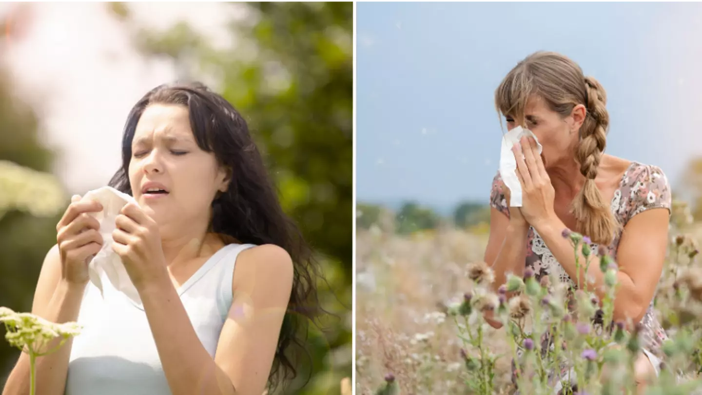 Warning to hay fever sufferers as first major pollen bomb explodes