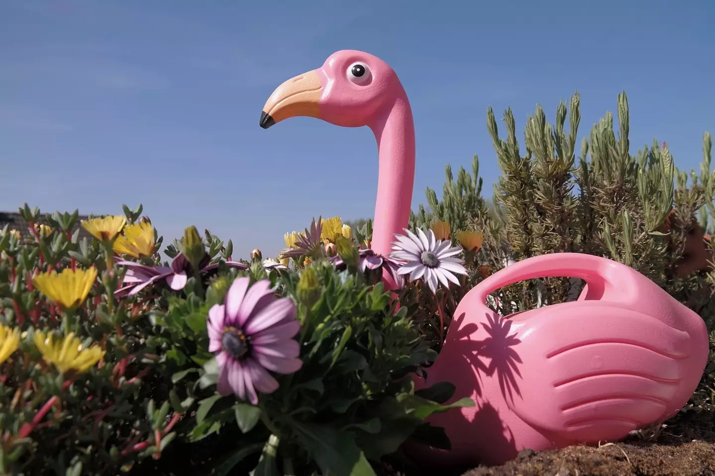Garden flamingos and pampas grass are also assumed to indicate you are into swinging.