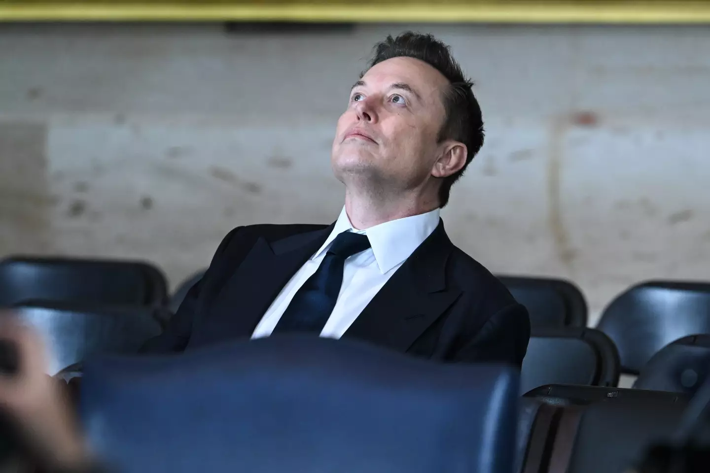 Musk has indicated he will step back from politics (Saul Loeb-Pool/Getty Images)