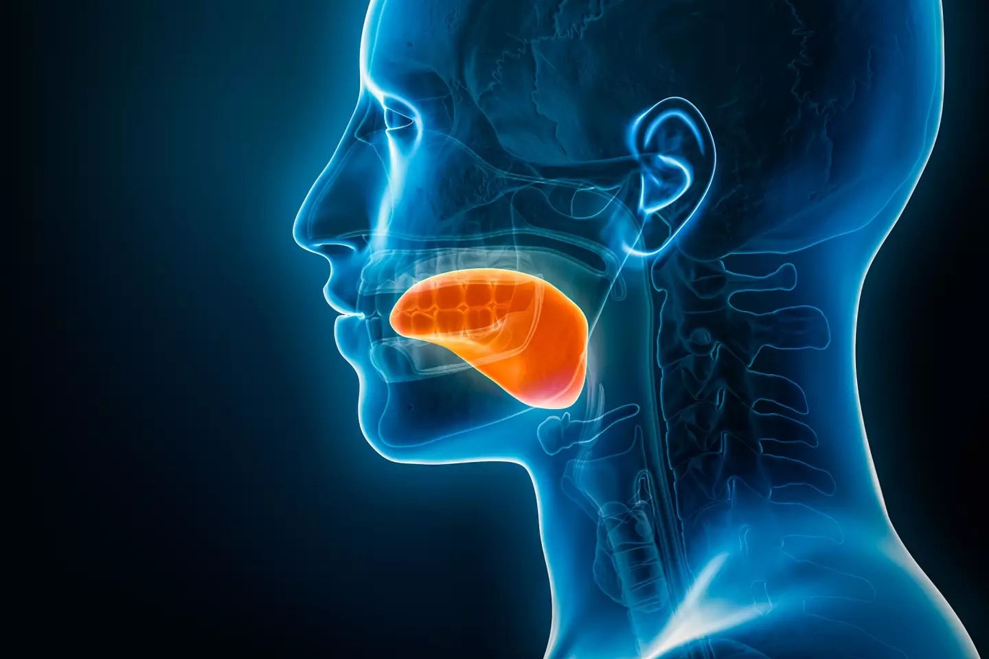A salty or bloody taste could be due to sinuses, or bacteria building up in the mouth (Getty Stock Image)