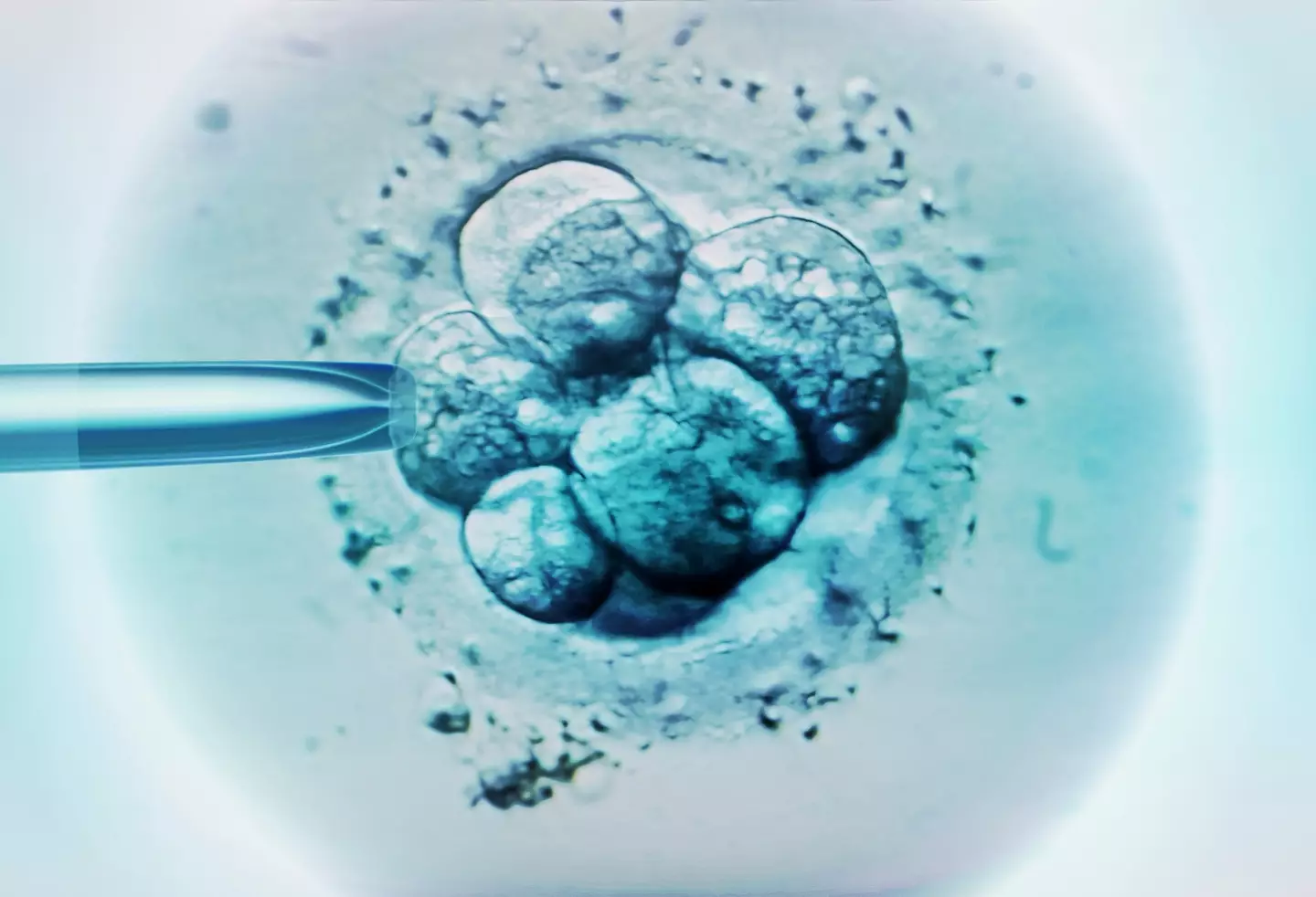 Many are questioning the ethics of storing frozen embryos for a long time (Getty Stock Images)