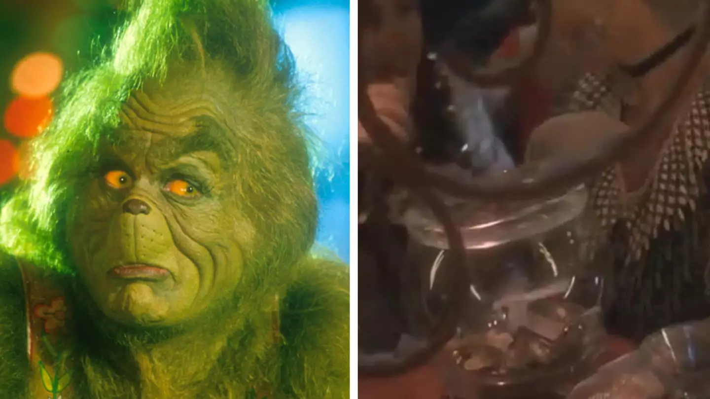 The Grinch fans say Christmas is ruined after spotting cheeky reference to swinging in the movie