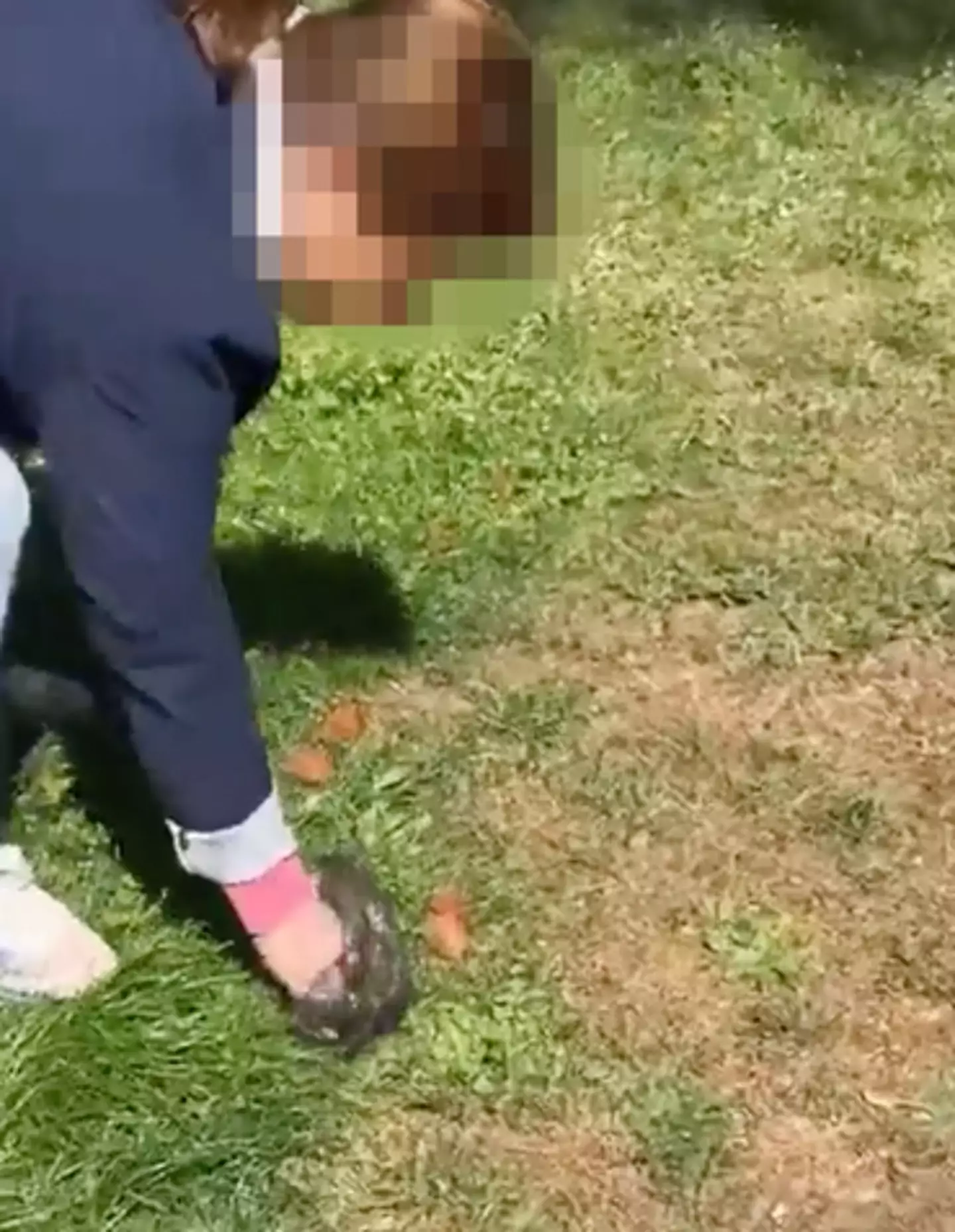 The video got Ortega some backlash.