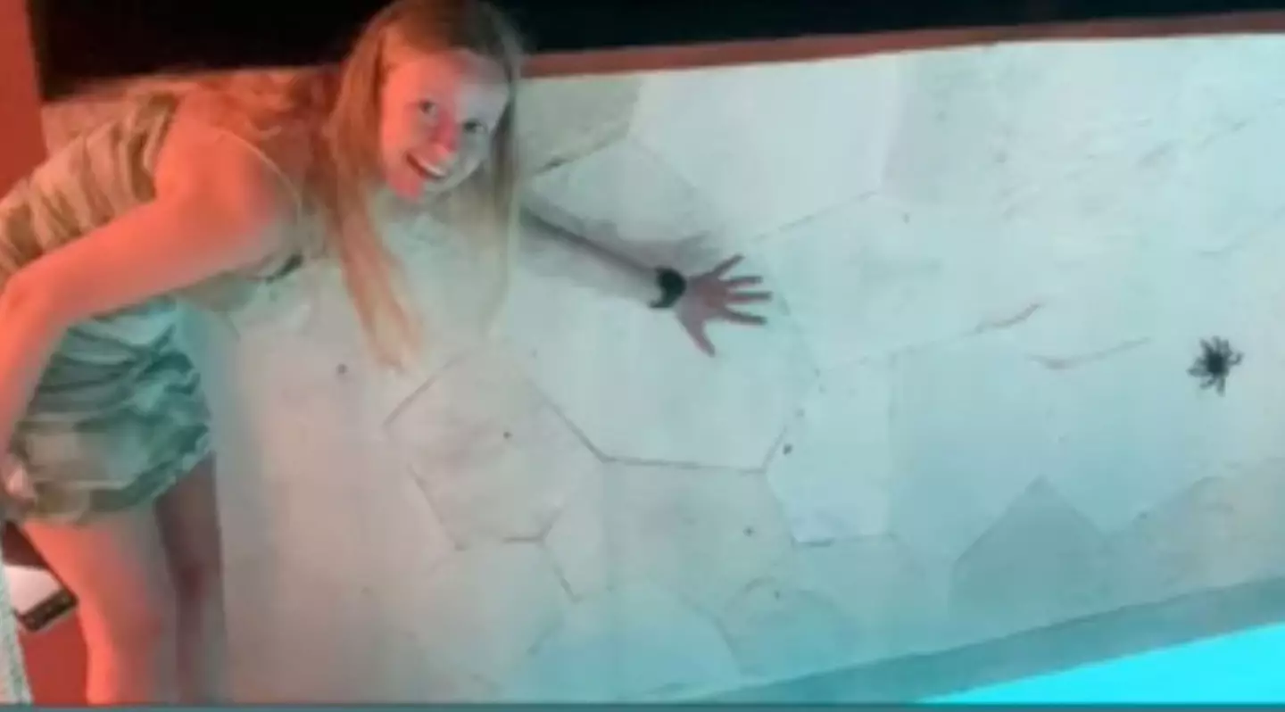 Emma joked about the tarantulas on the wall outside their hotel.