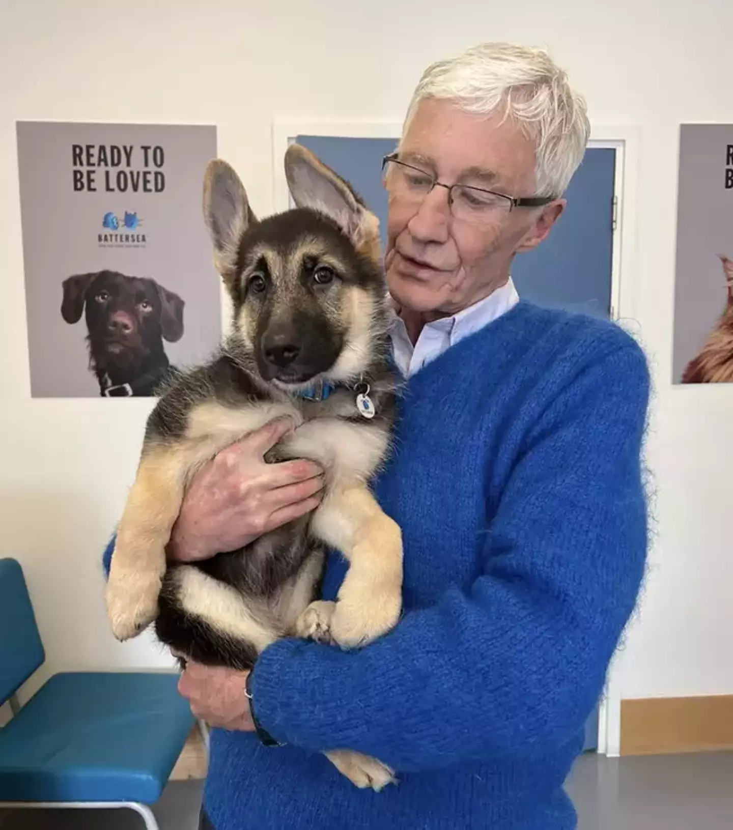 Paul O'Grady was well known for his love of animals, especially dogs.