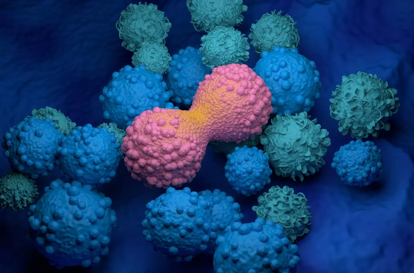 The ingredient is known to promote leukaemia cell growth (Getty Stock Image)