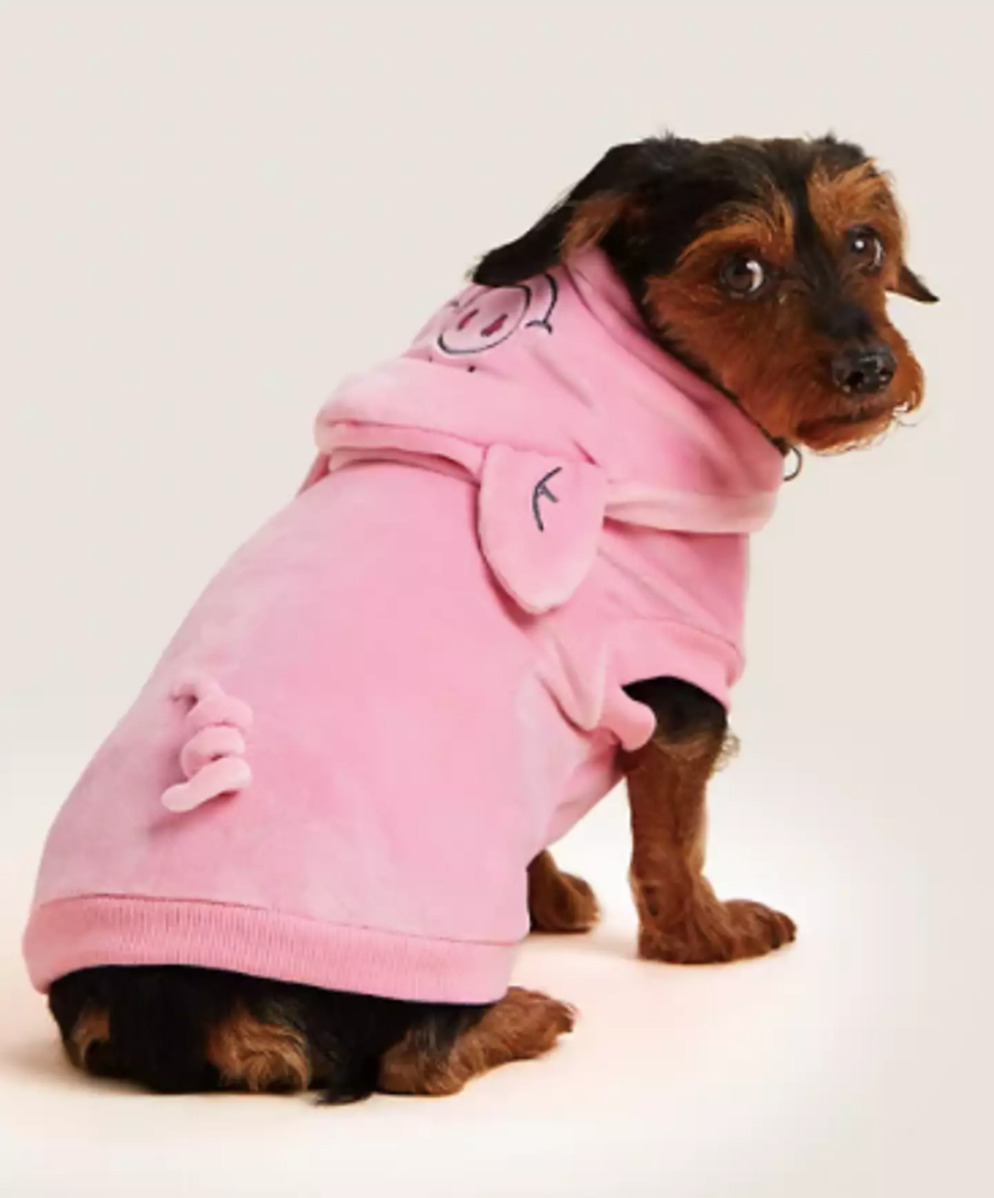 M&S is now selling a dog jumper (