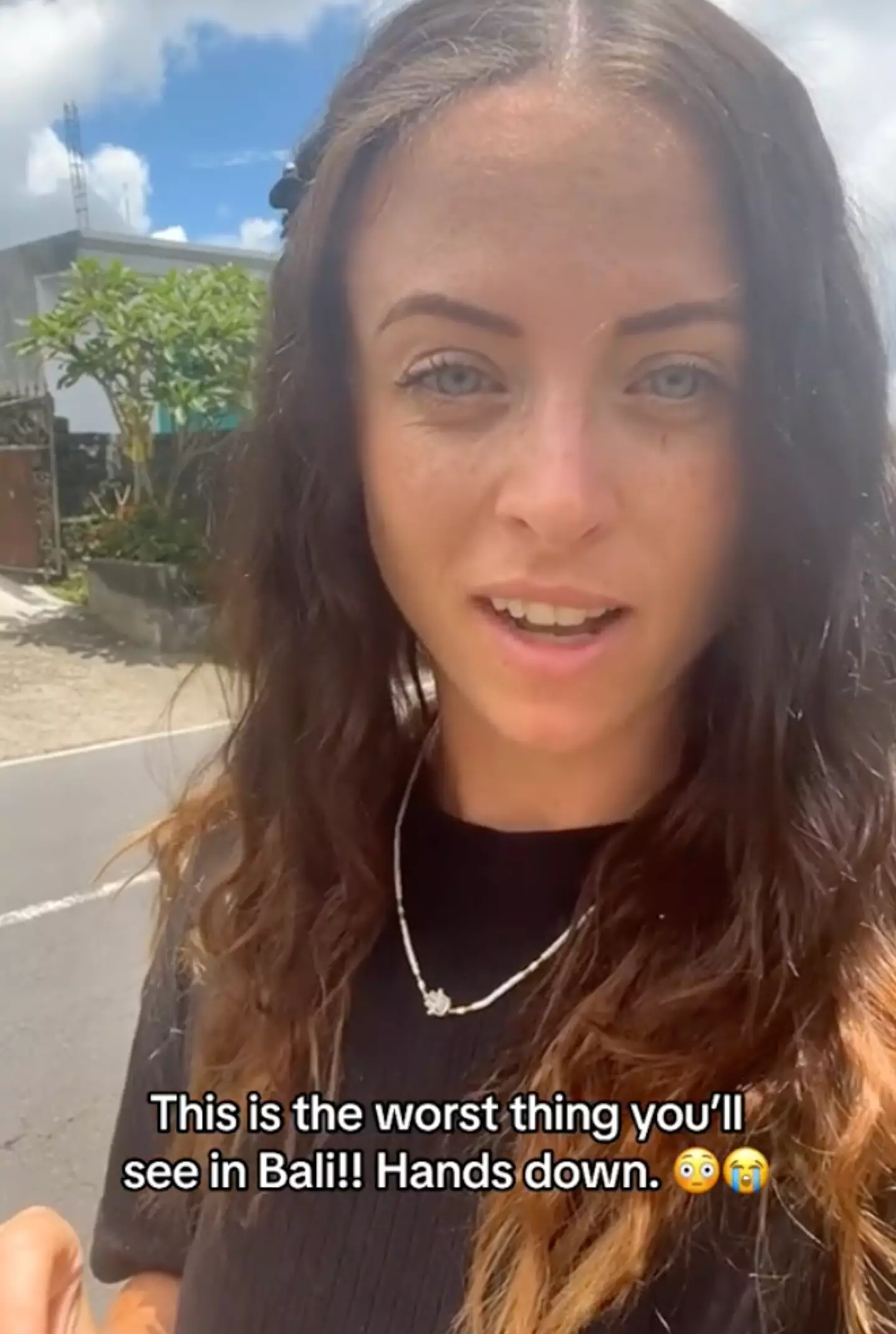 Grace was visiting Bali when she came across the skin-crawling discovery.