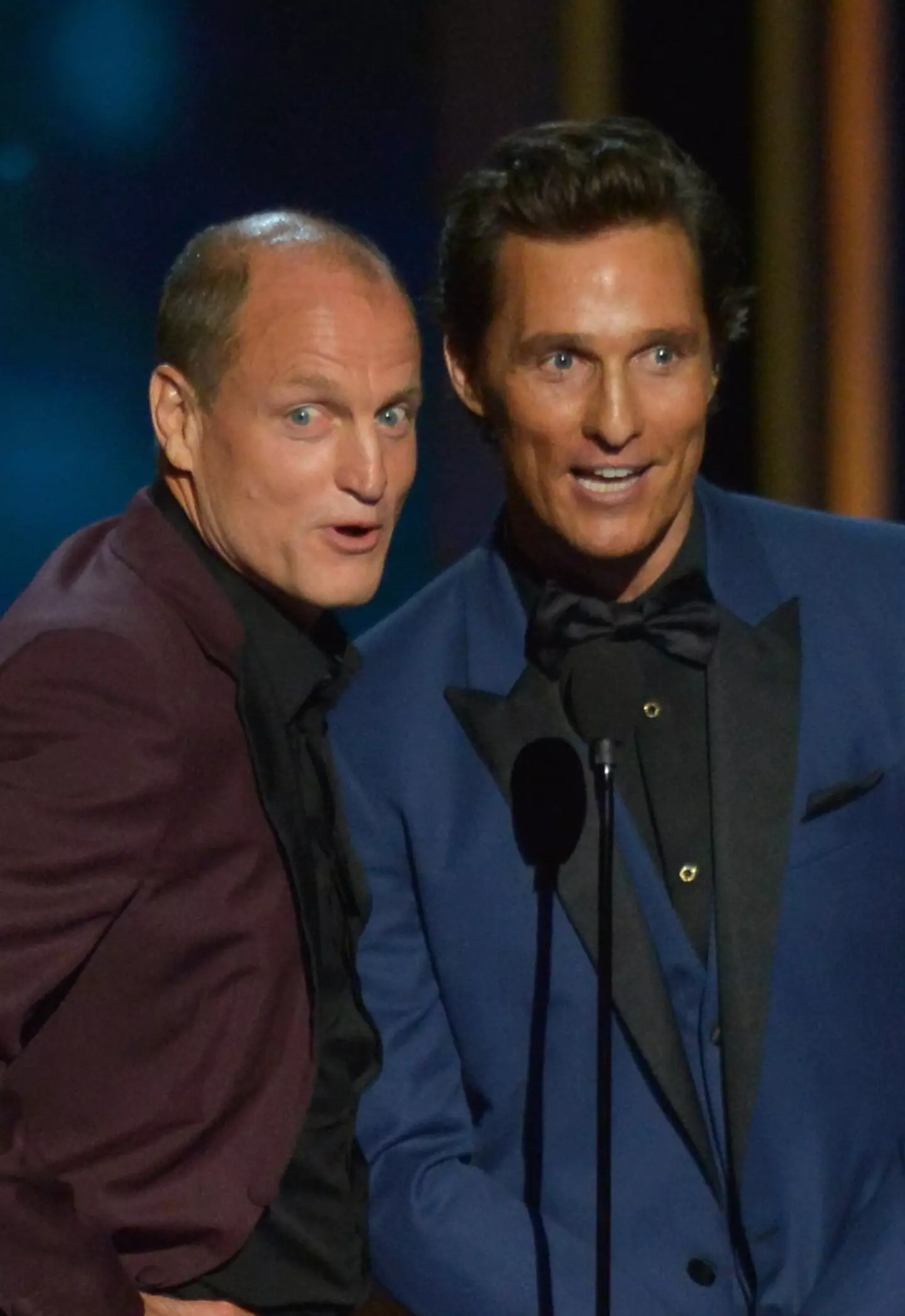 Harrelson seems up for taking a DNA test (Lester Cohen/WireImage/Getty Images)