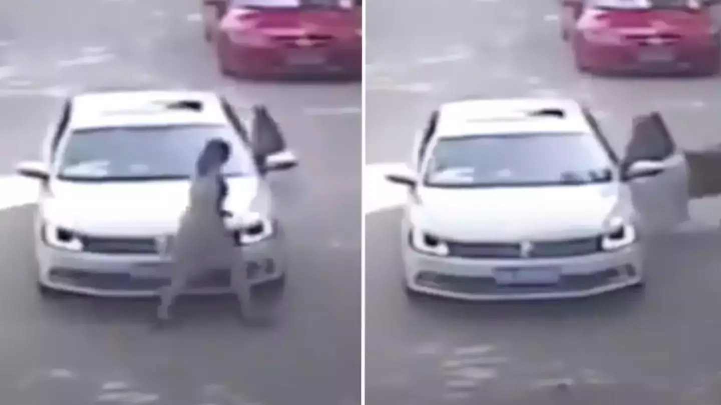 Family attempted to file lawsuit against safari park where mother killed by tiger in vicious attack