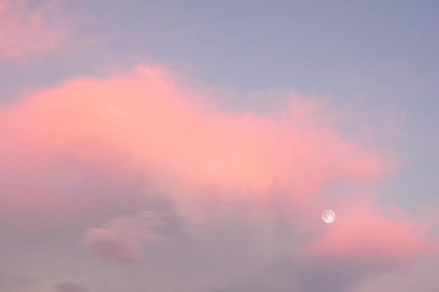 The Pink Moon is upon us! (Eve Livesey / Getty Images)