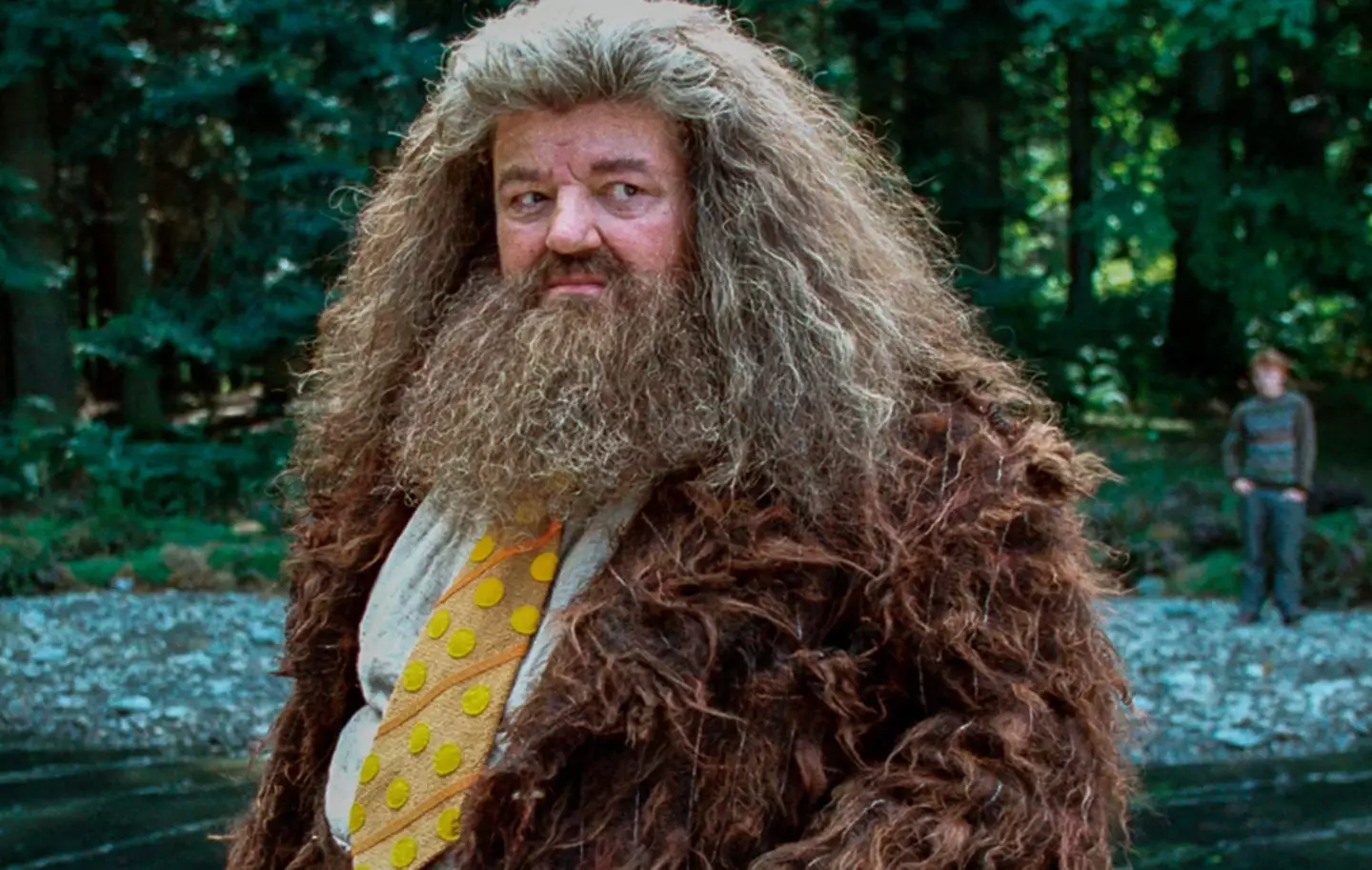 Robbie Coltrane played the beloved Hagrid (Warner Bros.)