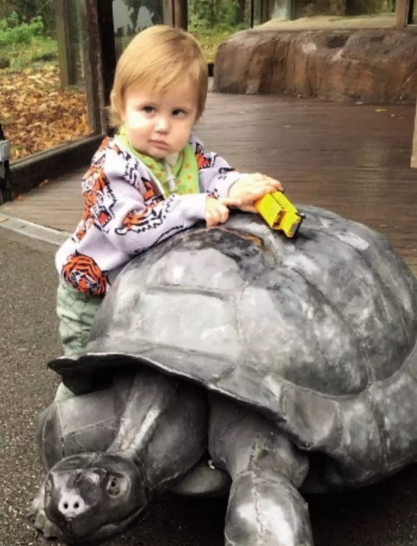 Little Henry passed away in 2018 (robdelaney/Instagram)