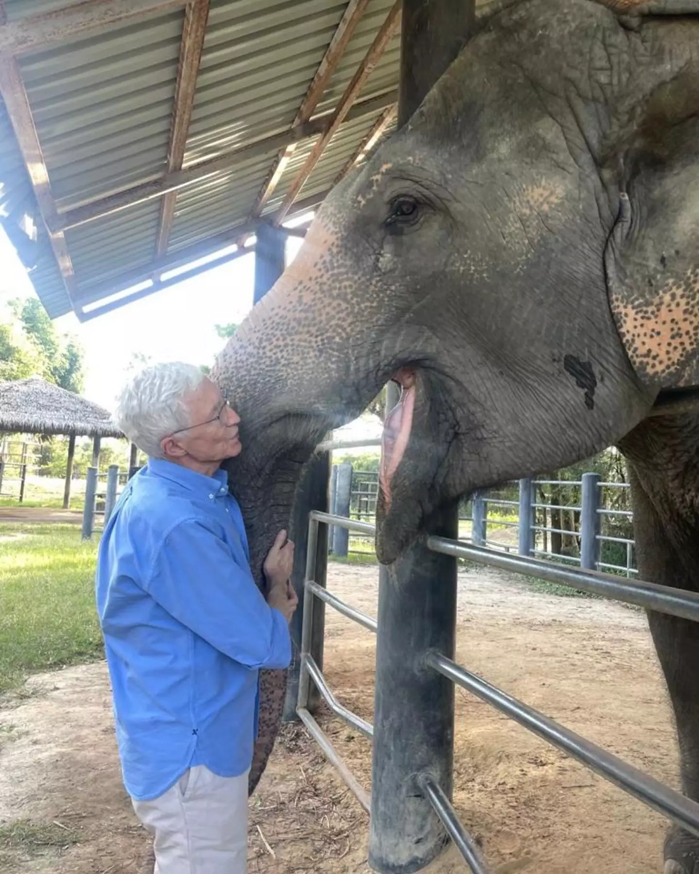 Paul O'Grady was known for his love of animals.